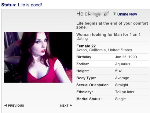 best dating profile headlines ever